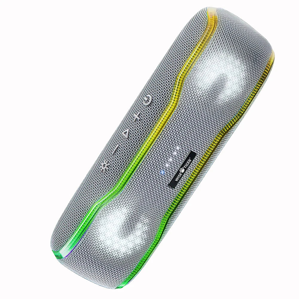 25W Waterproof Portable Speaker