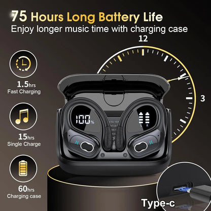 Wireless LED TWS Earbuds