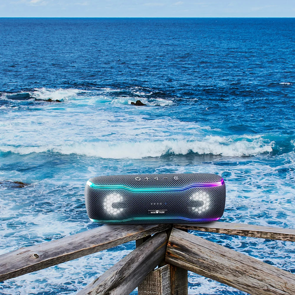 25W Waterproof Portable Speaker